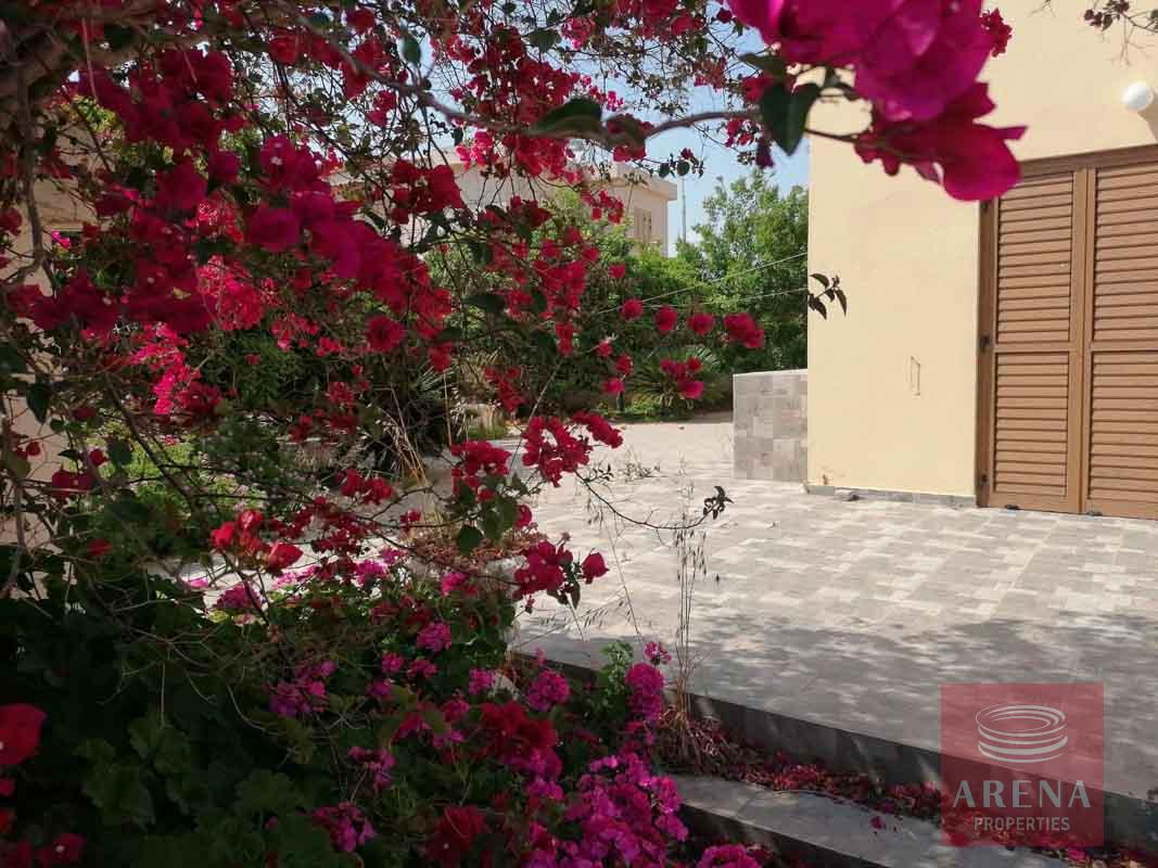 2 bed villa in ayia thekla - garden
