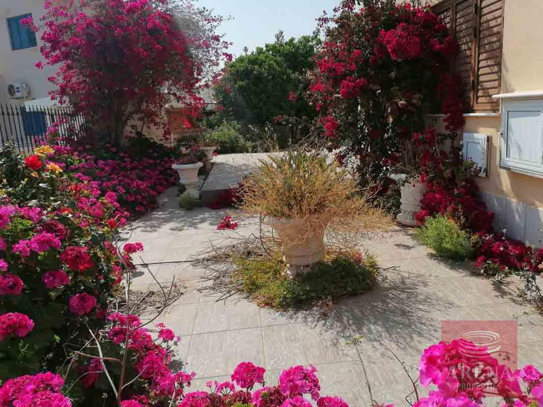 villa in ayia thekla