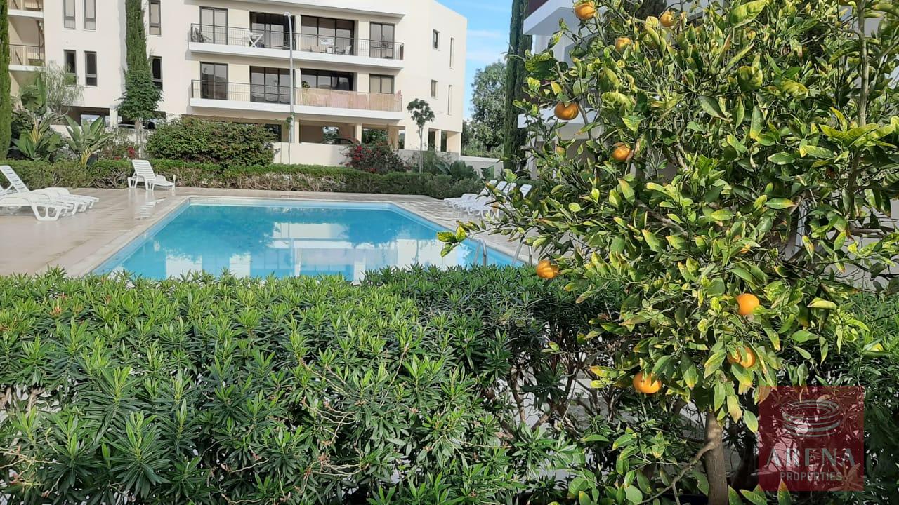 2 bed apt for rent in mazotos