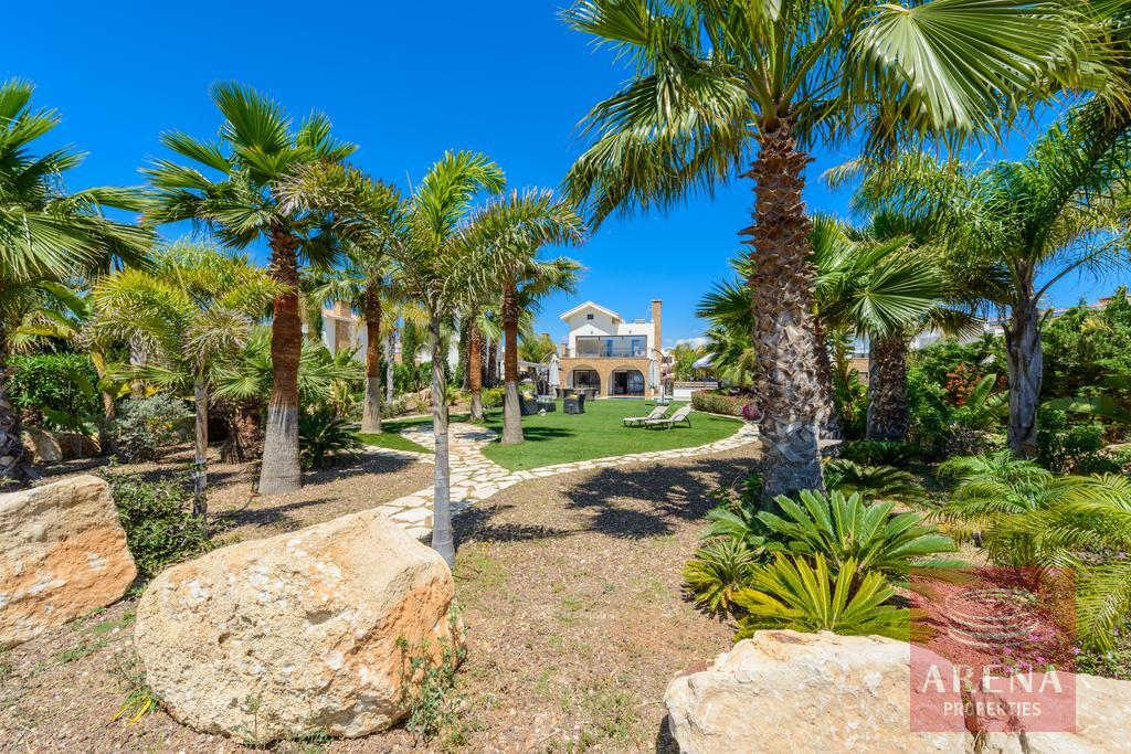 villa in ayia thekla