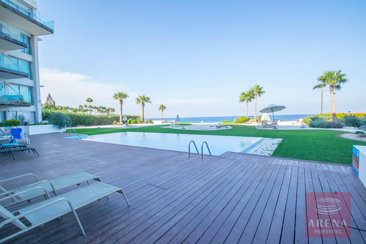 beachfront apartment in Protaras - pool