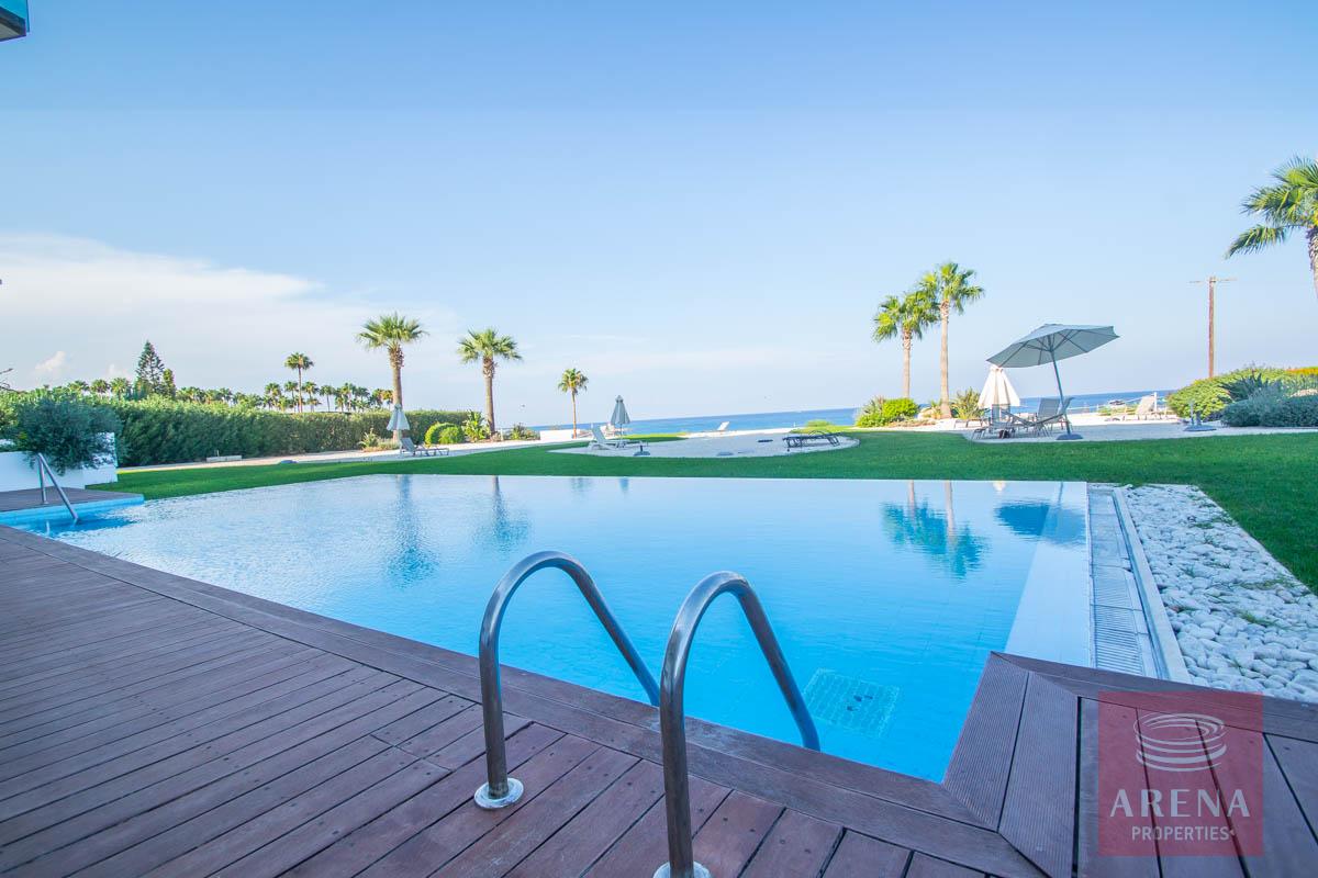 beachfront apartment in Protaras - swimming pool