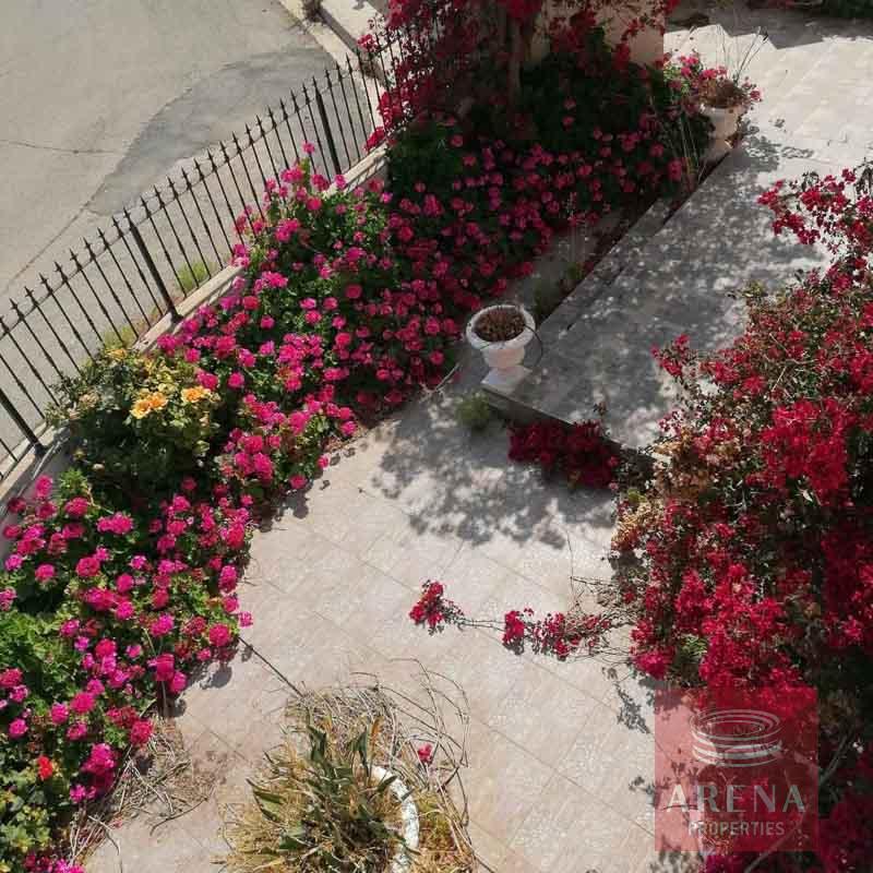 buy villa in ayia thekla