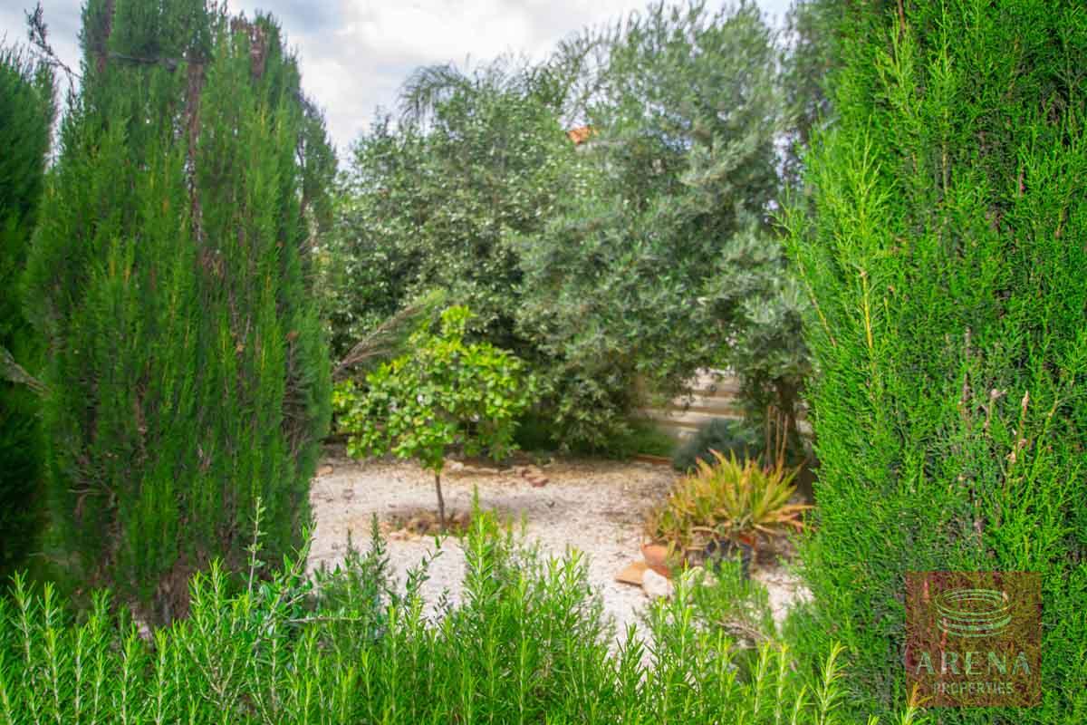 3 Bed Villa in Pernera to buy - communal garden