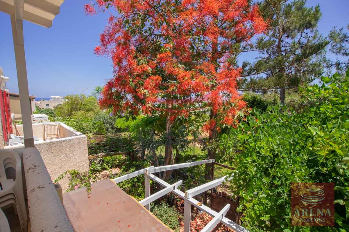 Apartment for rent in Paralimni - views