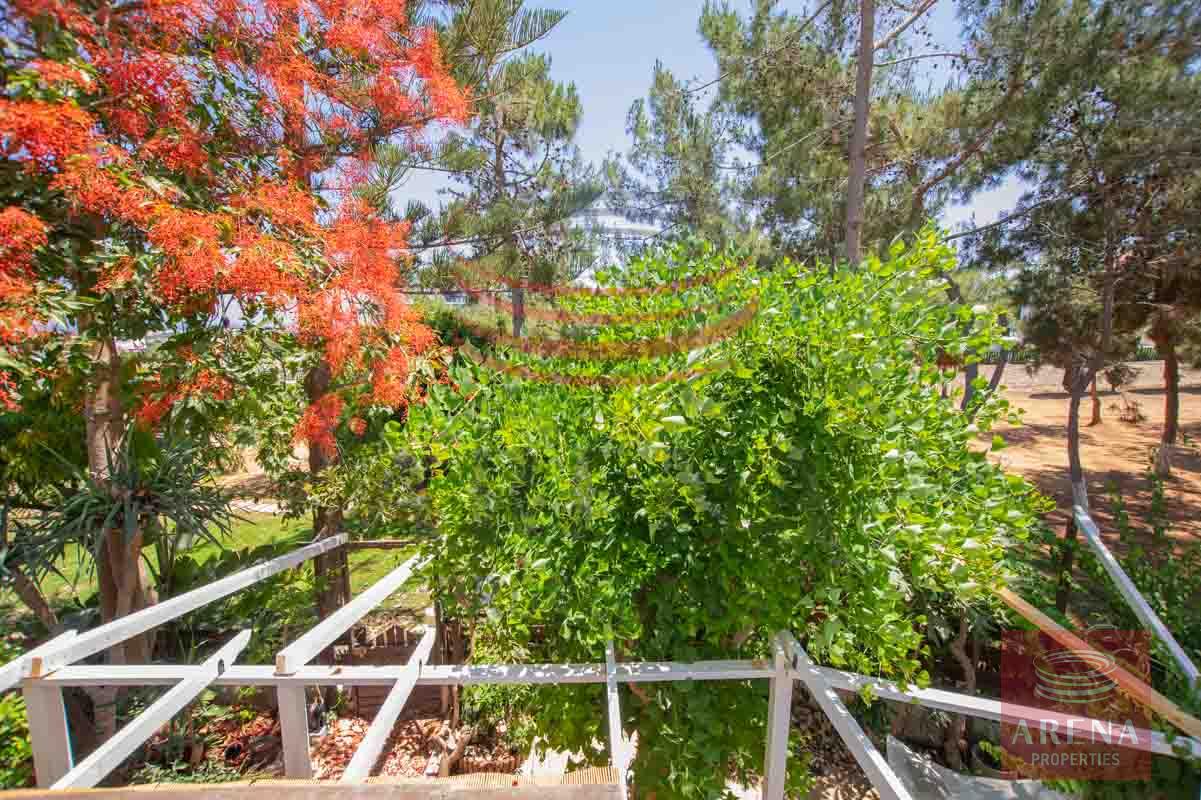 Apartment for rent in Paralimni - views