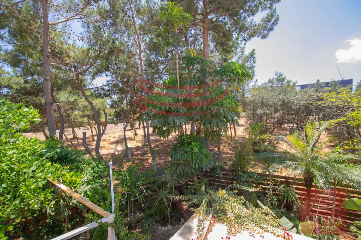 Apartment for rent in Paralimni - views