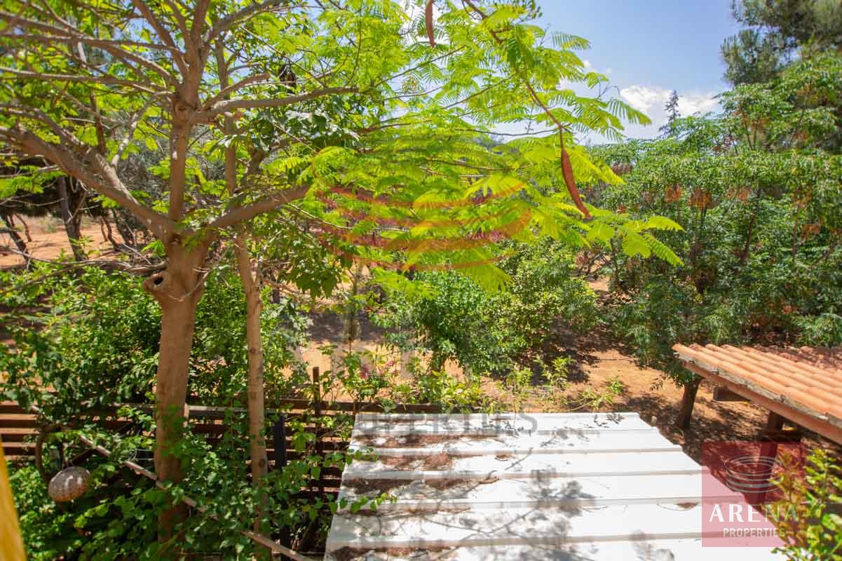 Apartment for rent in Paralimni - views