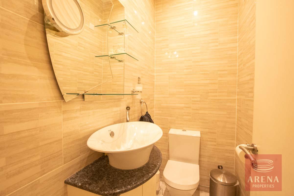 Semi-detached House in Derynia - guest WC