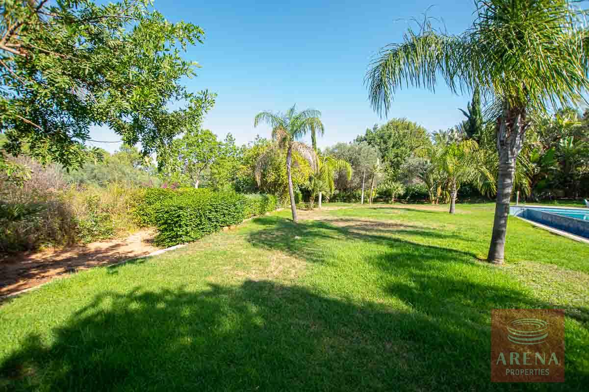 8 Bed Villa in Protaras - garden