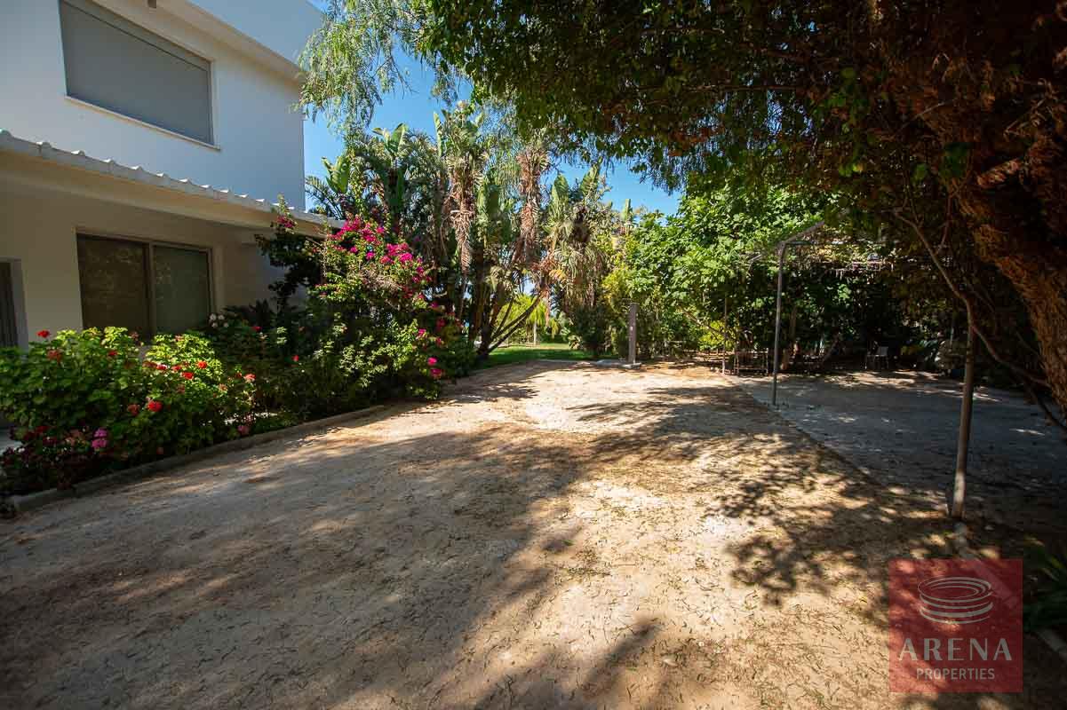 8 Bed Villa in Protaras - outside area