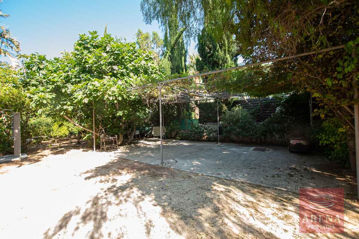 8 Bed Villa in Protaras - back yard