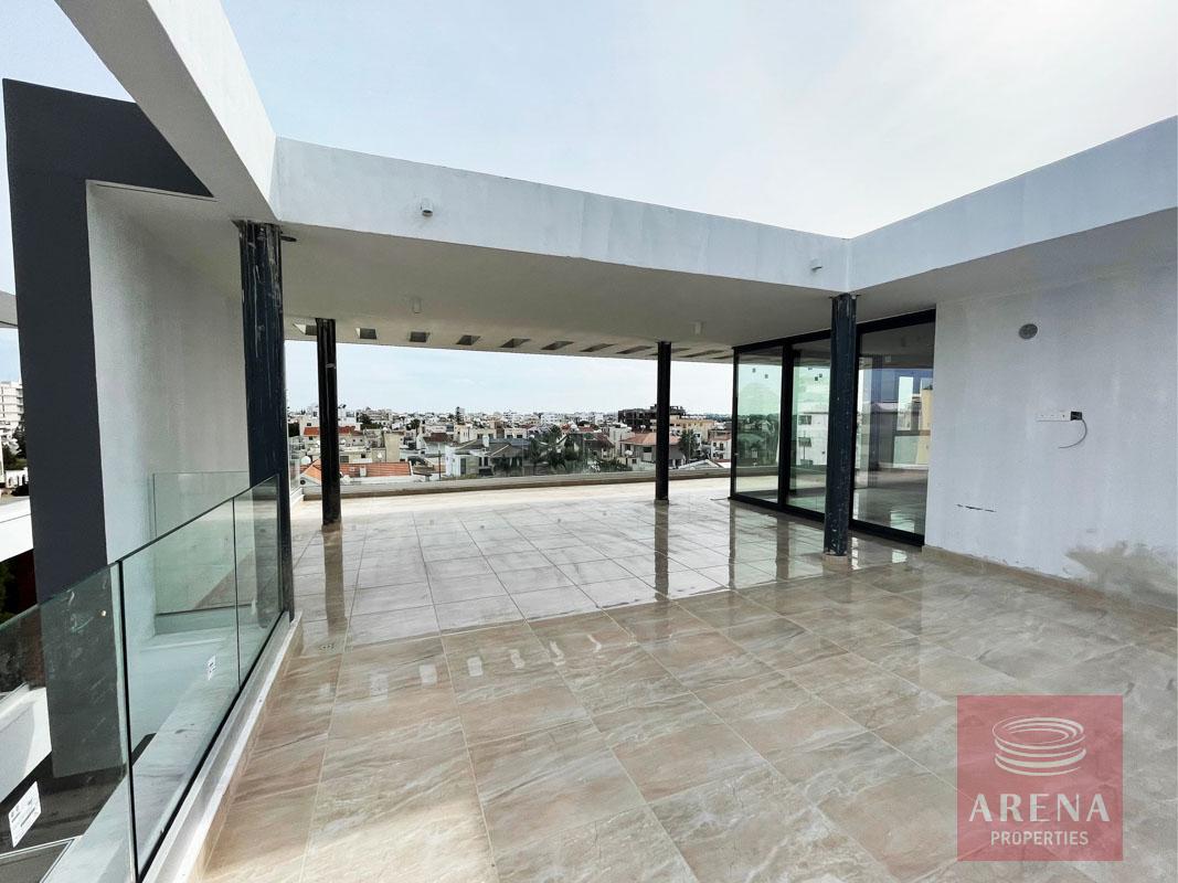 DELUXE 3 BED APT IN DROSIA - roof garden