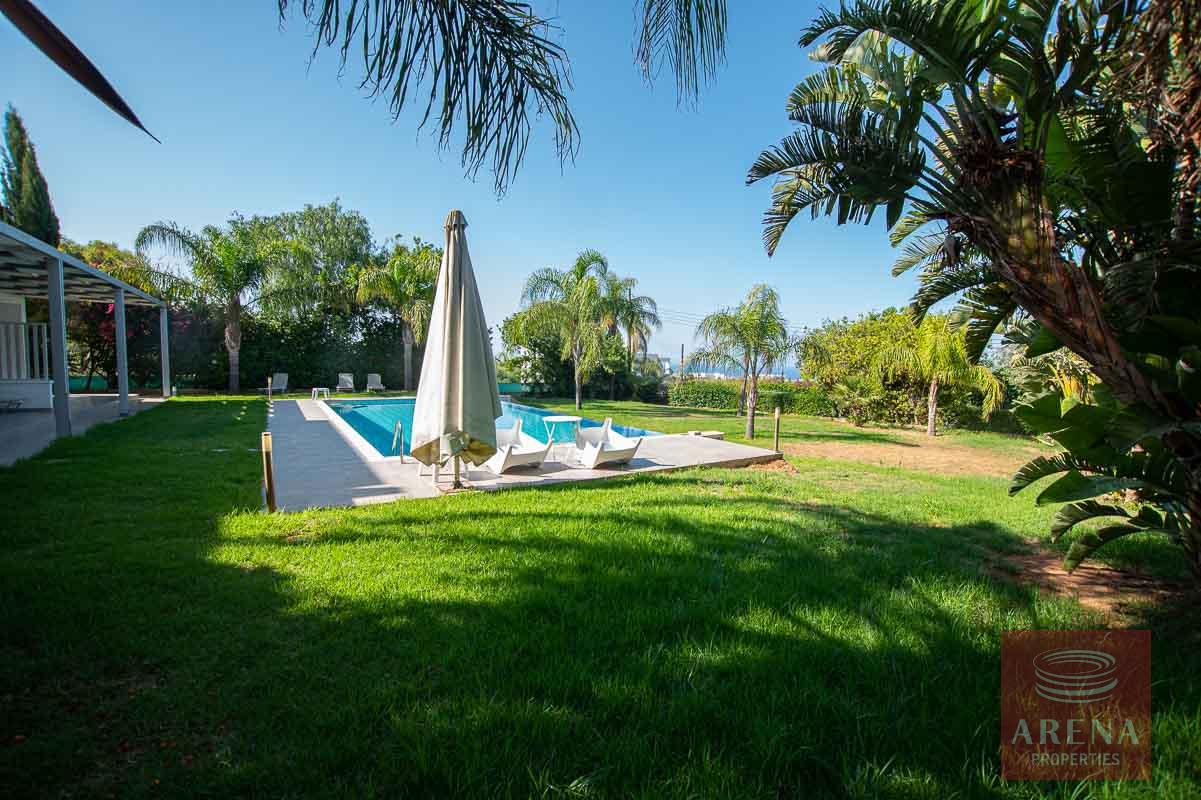 Villa in Protaras - swimming pool