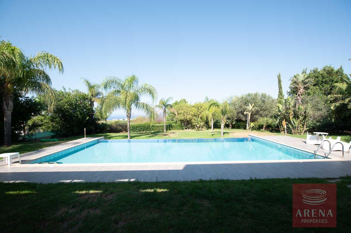 buy villa in Protaras