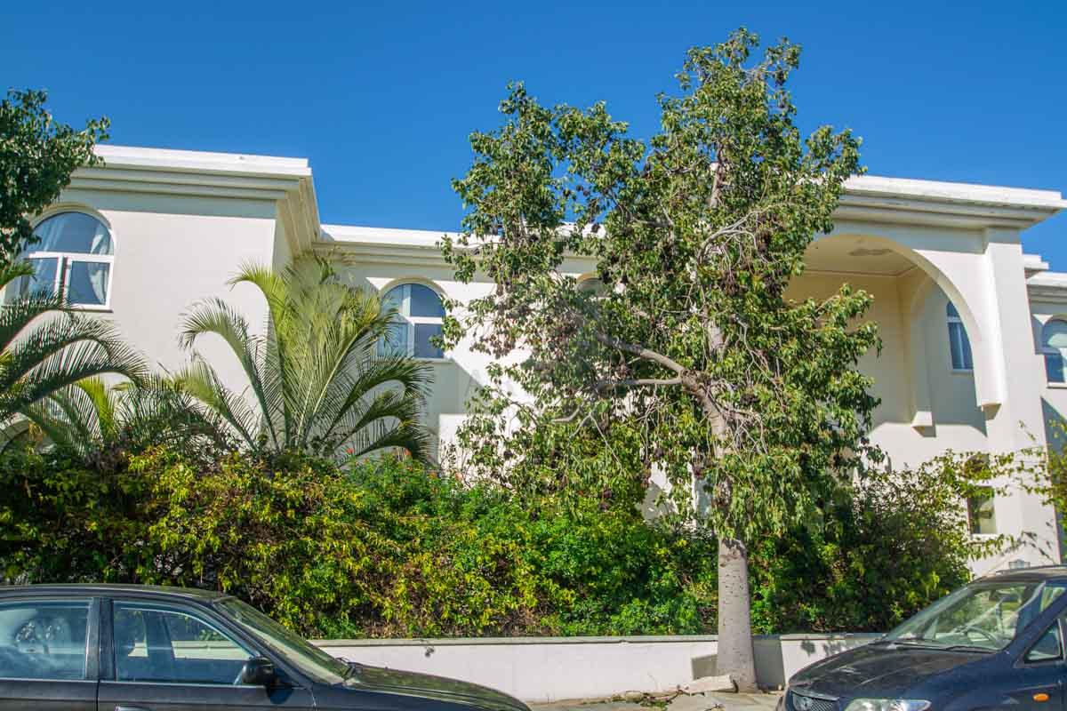 5 bed house for sale in Paralimni