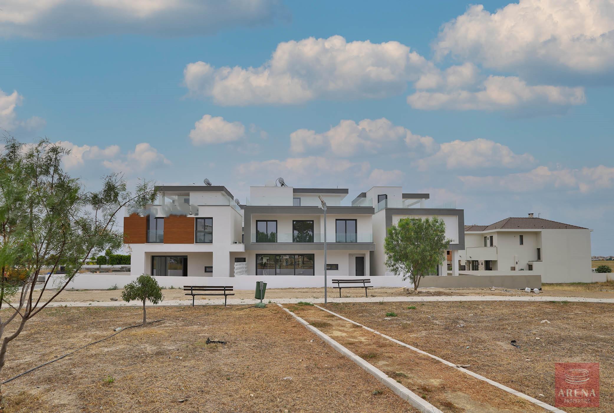 perspective20230616132627