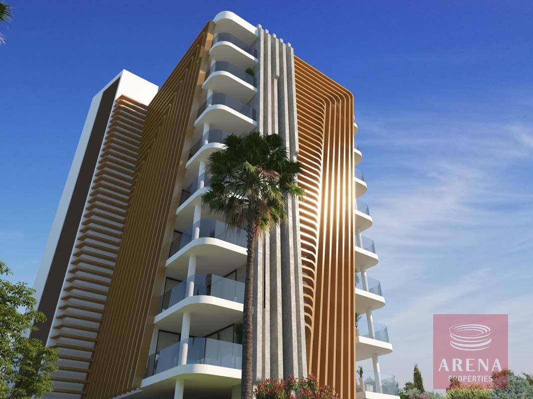 New project in Drosha