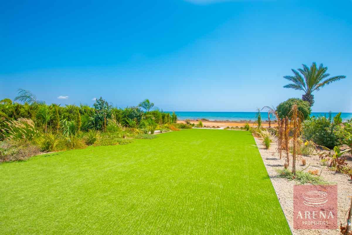 Seafront villa in Ayia thekla - garden