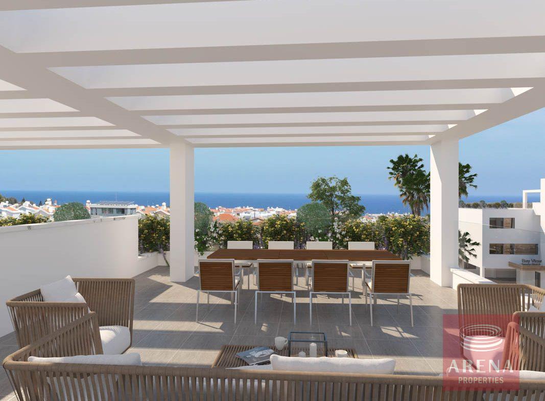 New apartments in Kapparis - roof garden