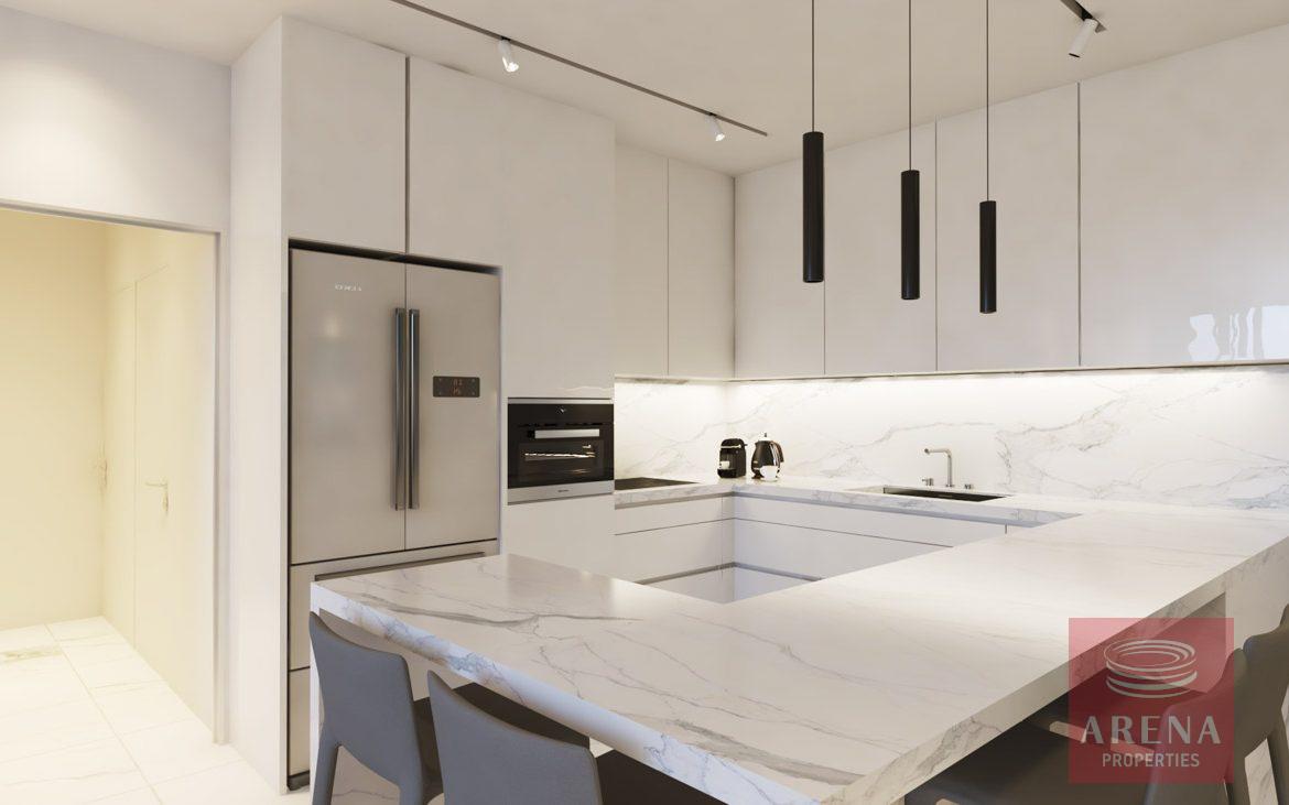 New apartments in Kapparis - kitchen