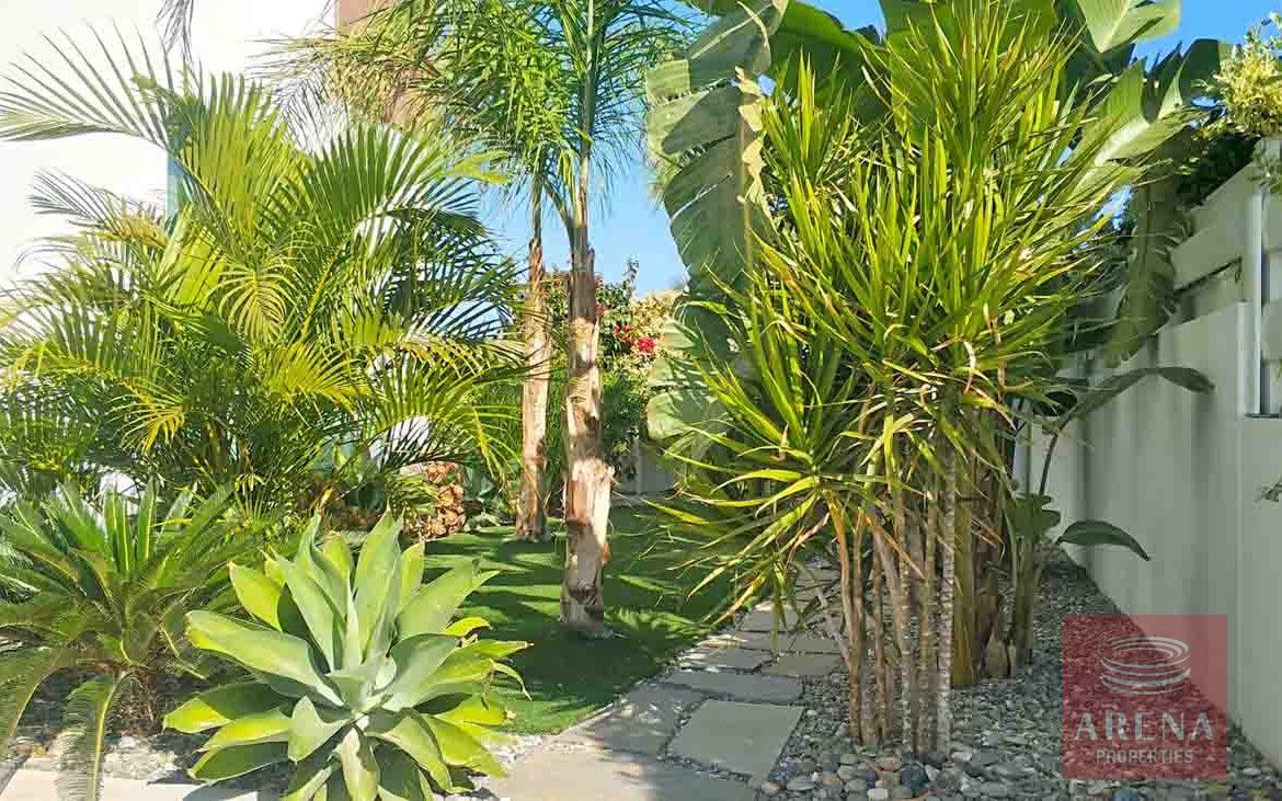 3 bed luxury villa for rent - garden
