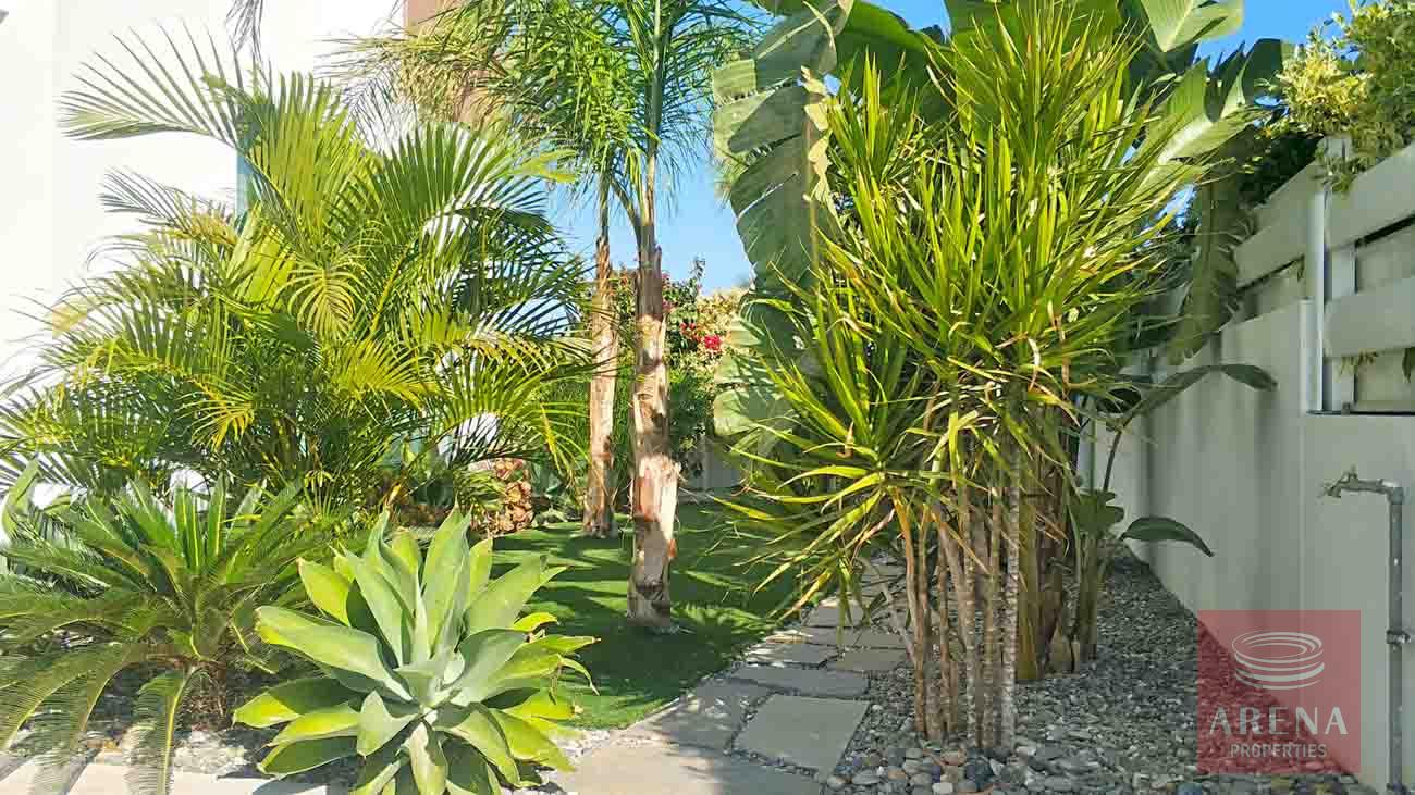 3 bed luxury villa for rent - garden
