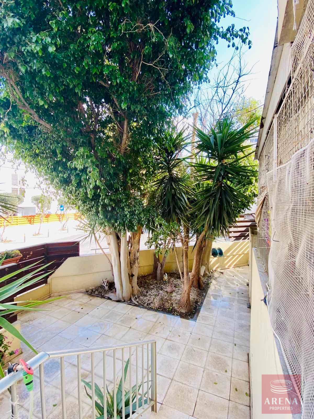 272665538 513972443672259 8355545672704938422 n