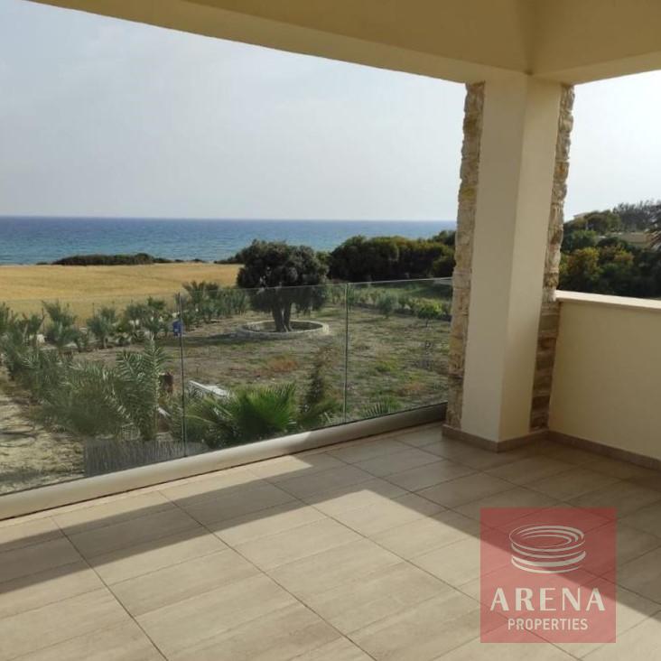 House in Mazotos for Rent - balcony