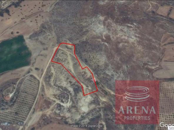 1 land in maroni