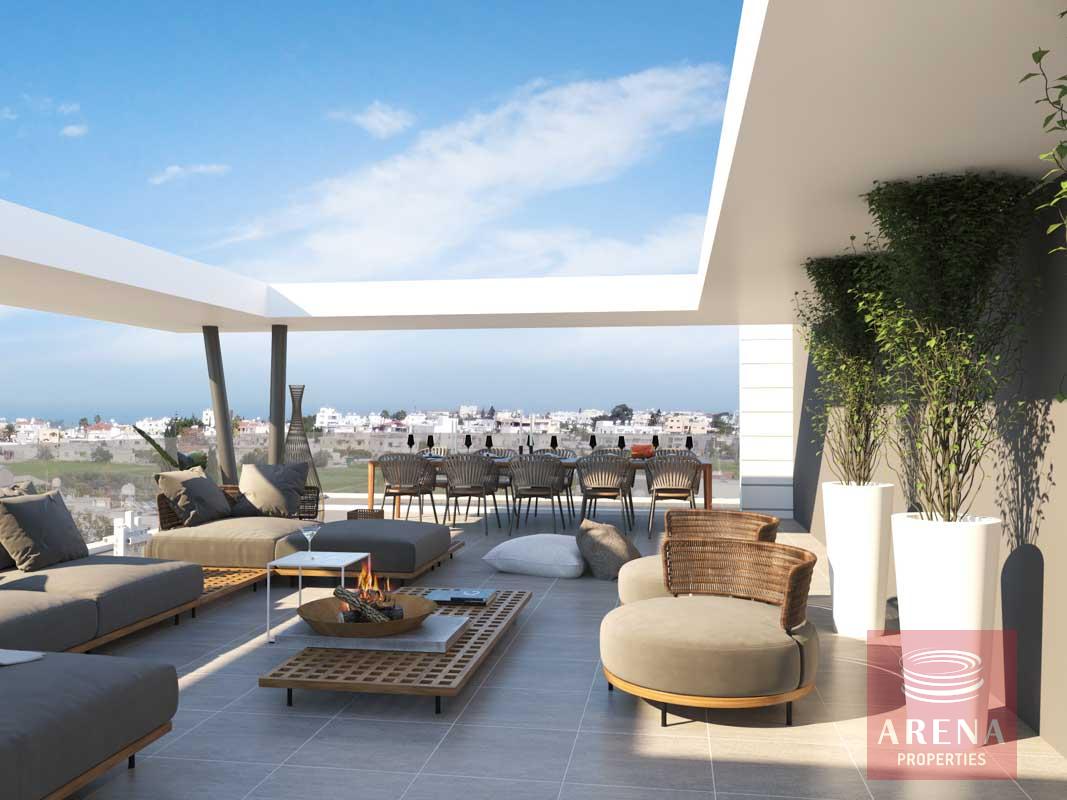 final lilac cam 15 copy