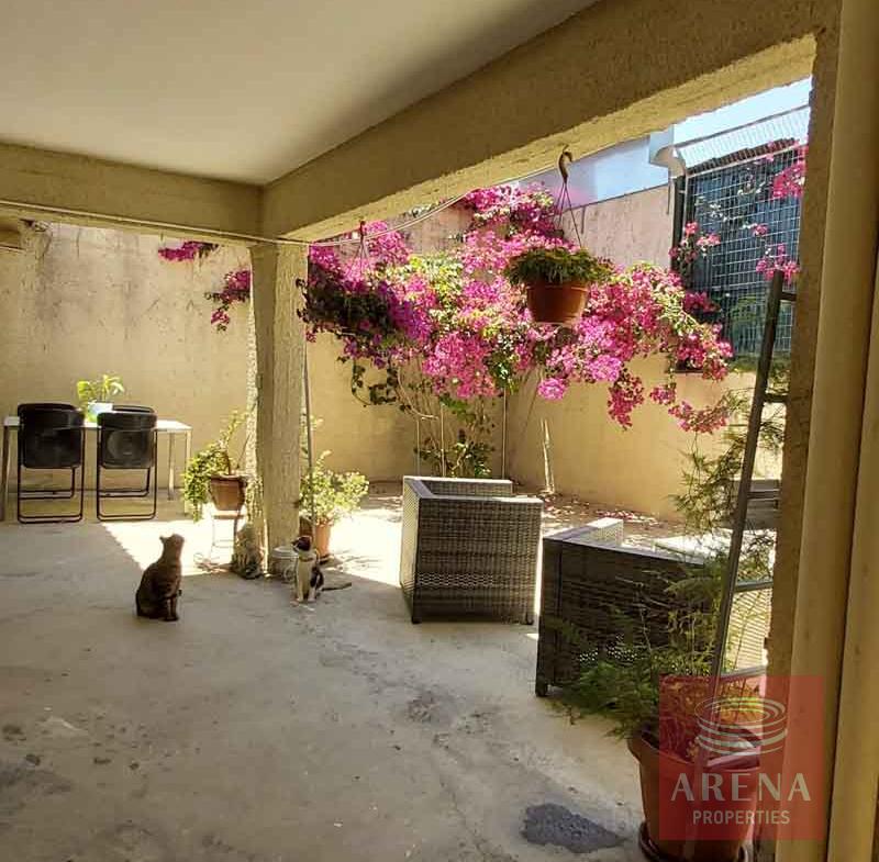 house in chrysopolitissa - back yard