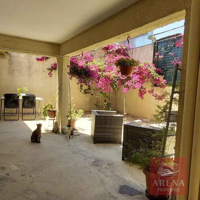 house in chrysopolitissa - back yard