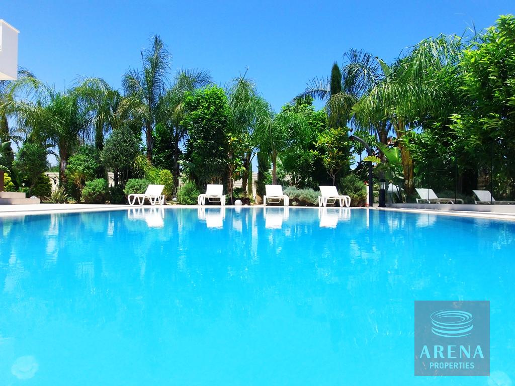 4 Bed Villa in Cape Greco - pool