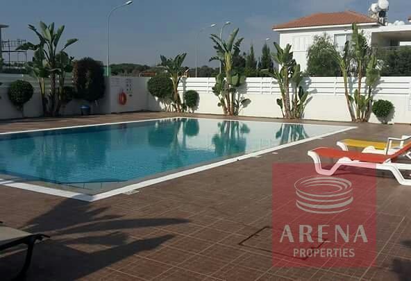 communal pool 2