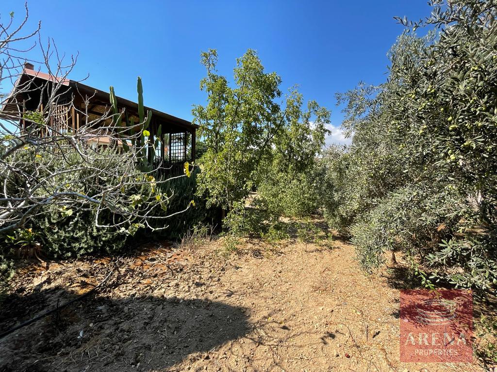 2 Bed Villa in Pervolia to buy