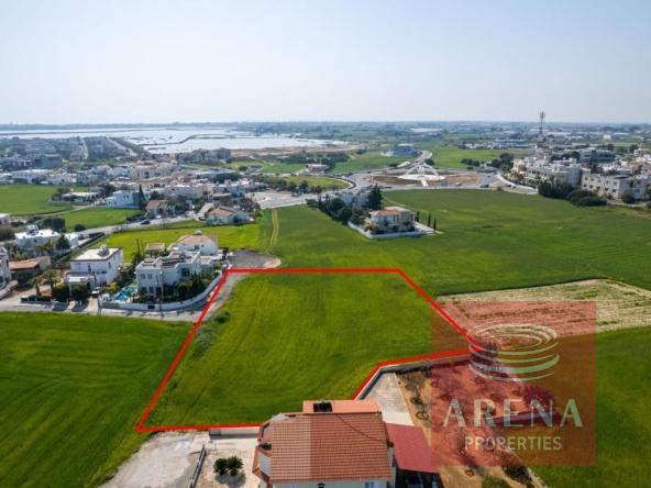 FIELD IN PARALIMNI