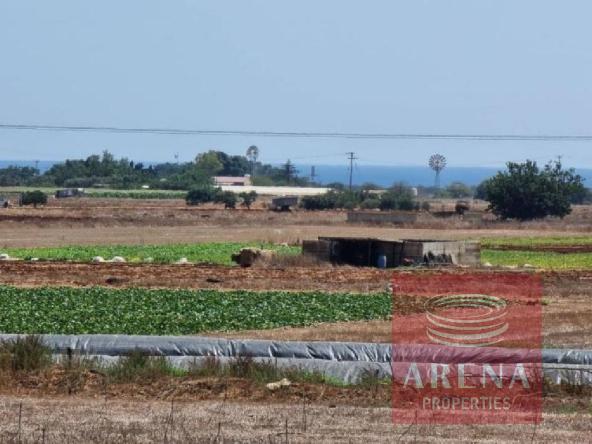 LAND IN SOTIRA