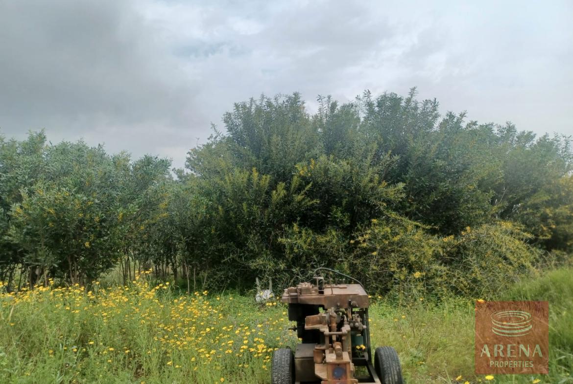 2 BED BUNGALOW IN frenaros to buy