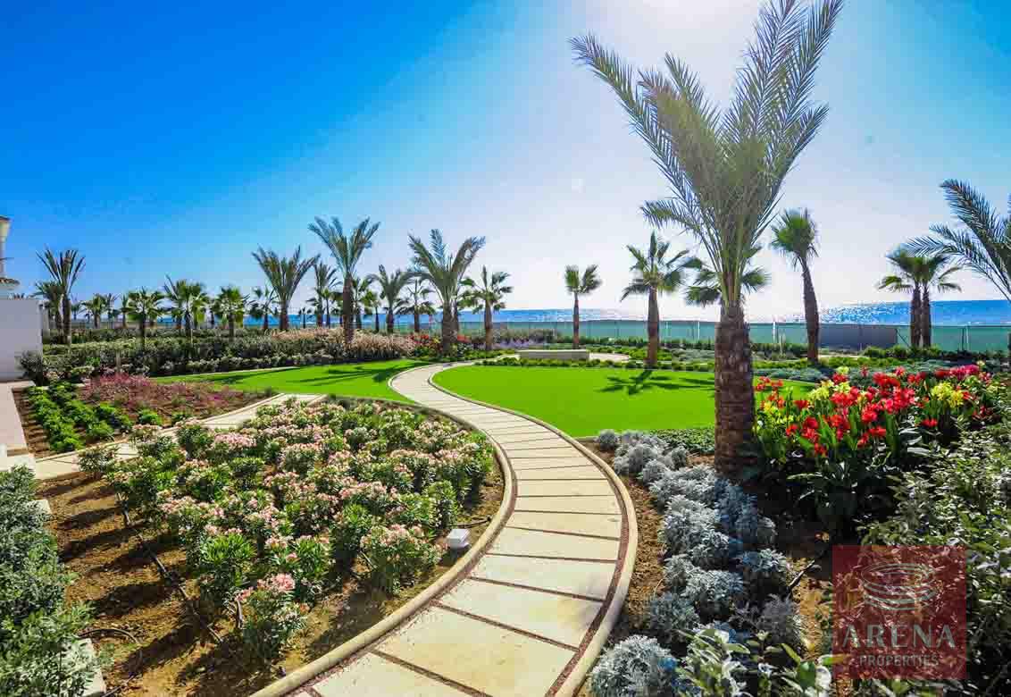 5 BED VILLA IN PERVOLIA - GARDEN