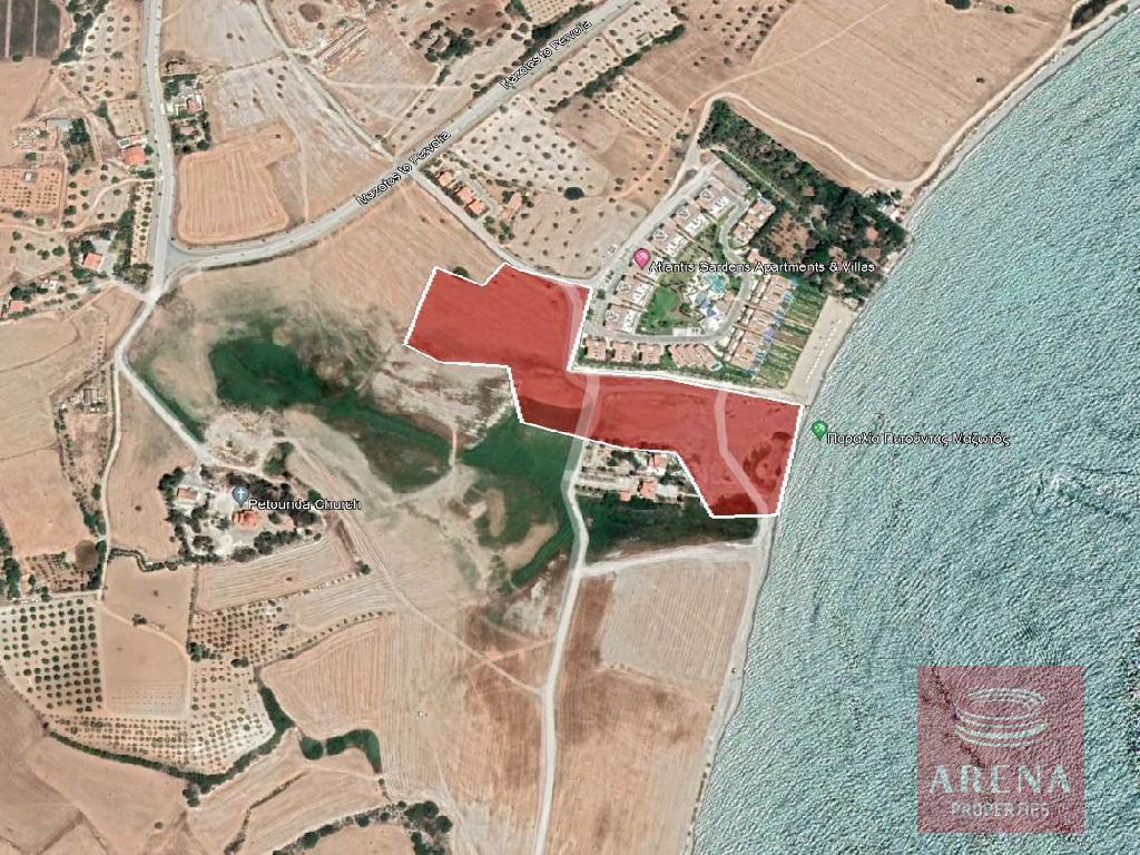 BEACHFRONT FIELD IN MAZOTOS FOR SALE