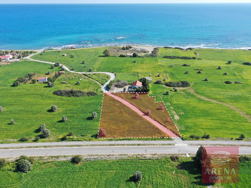 land for sale in mazotos