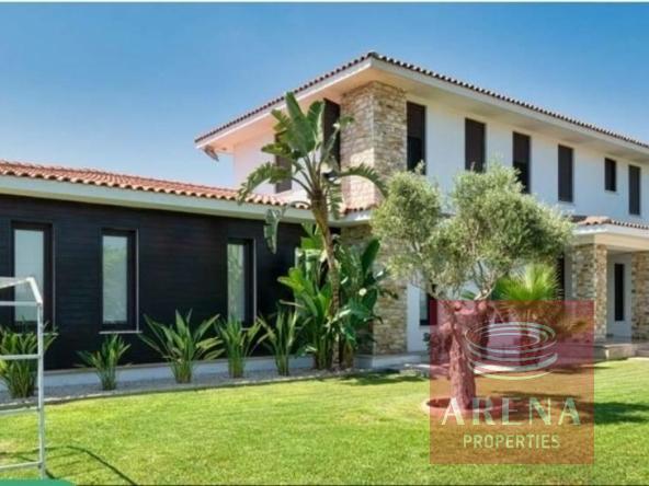 6 BED VILLA IN DROMOLAXIA