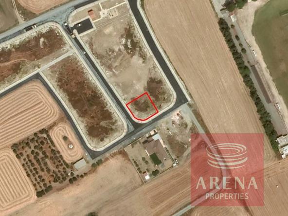 plot in pervolia