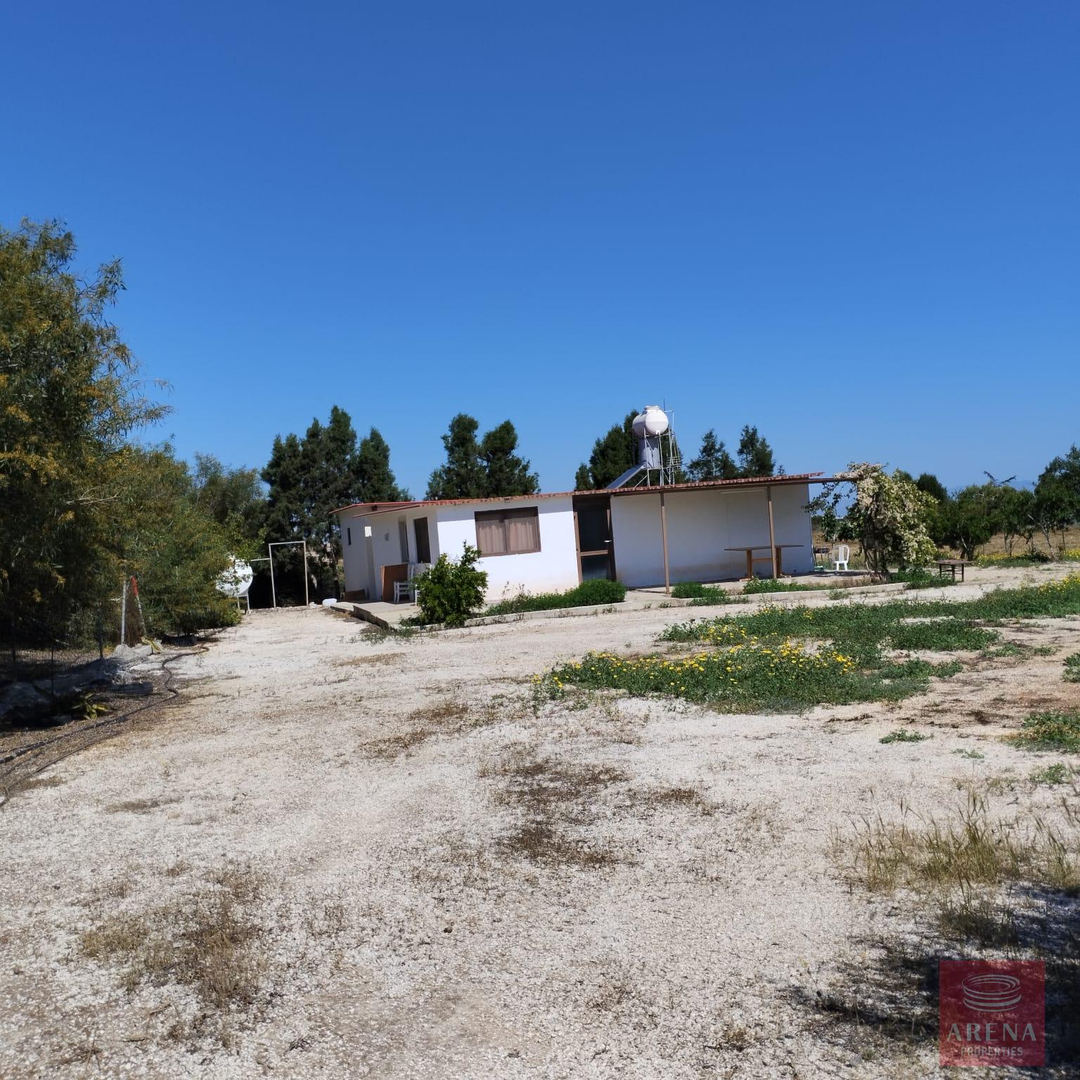 1 BUNGALOW IN PARALIMNI 9195 2