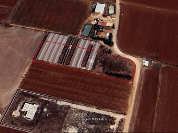 LAND IN ORMIDIA