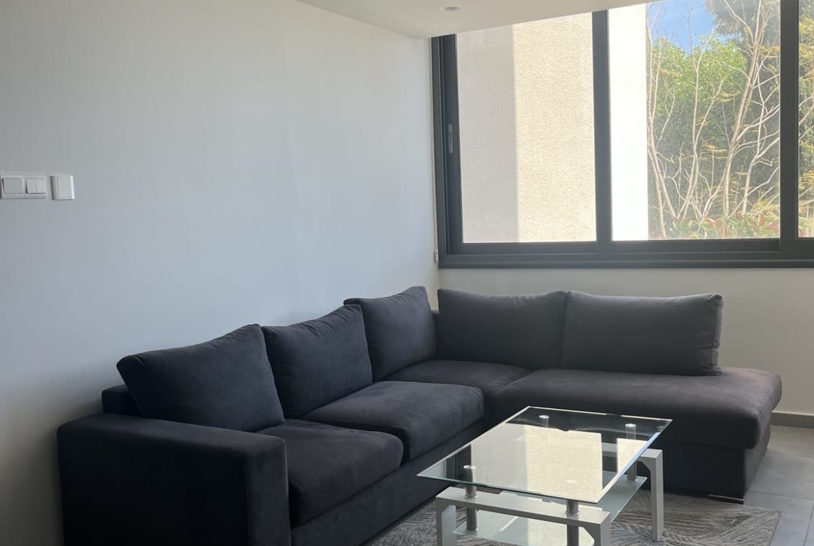1 BED APT FOR RENT IN MAKENZY