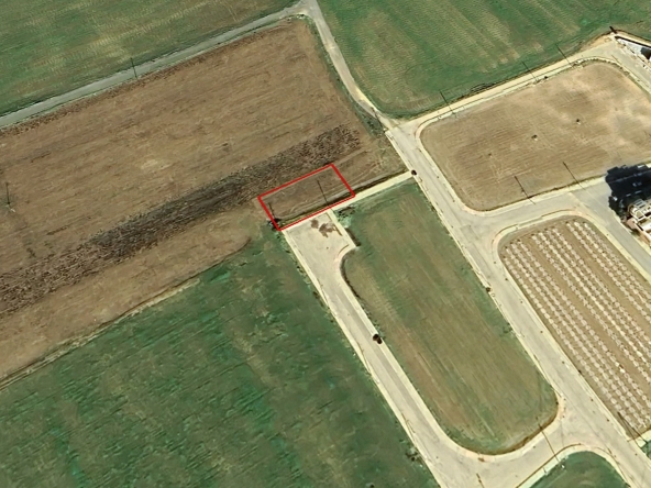 Plot in Pervolia