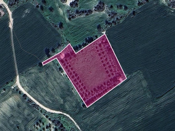 LAND IN TOCHNI