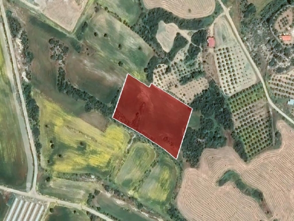 1 LAND IN MARONI 9739 1